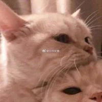 tg giả hiền hậu :3