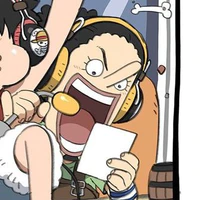 USOPP