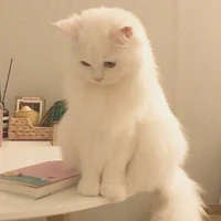 cá mắc cạn