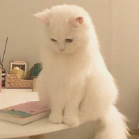 cá mắc cạn