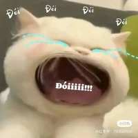 My-san
