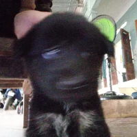 TG đzai nhất thế giới:3