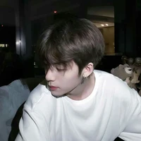 Bàng Bác Văn_anh trai cô