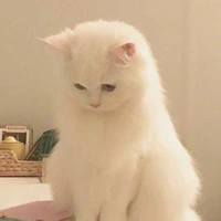 Mon