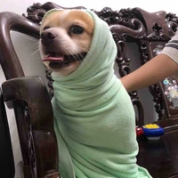 Tác giả báo 🤡