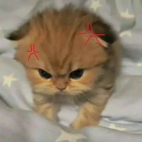T/g tên Sữa nì