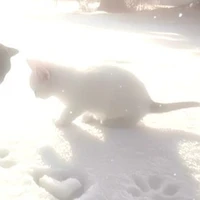 “Nhân vật phụ”