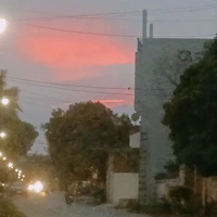 Tác giả chem chép