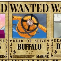 Buffalo