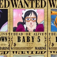 Baby 5
