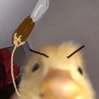 tác giả đập chai đây 🫰🏻💕