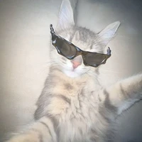 tác giả cutii