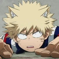 bakugou katsuki