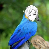 Con vẹt đức🐦