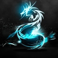 Black dragon-bóng chuyền