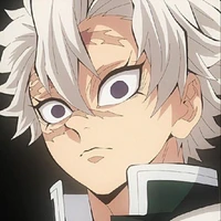 shinazugawa sanemi