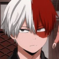 Todoroki Shoto