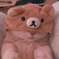 Hệ Thống 017<Linn>