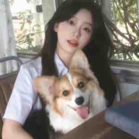 Chu Diên Anh