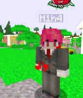 H1H4