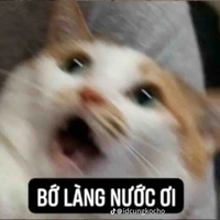 T/g khốn nạn với độc giả 
