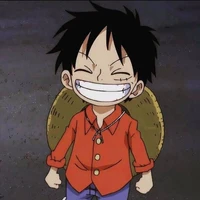 Luffy - 7 tuổi