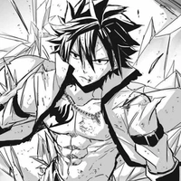 Gray Fullbuster 