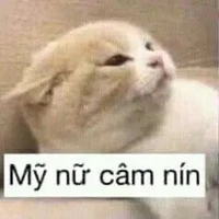 tg đáng iu
