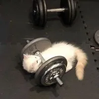 tác giả