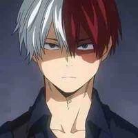 Shoto Todoroki