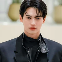 Win metawin