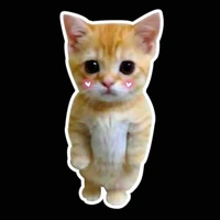 Hệ thống 419 / hana