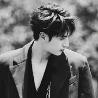 Nghiêm Hạo Tường 