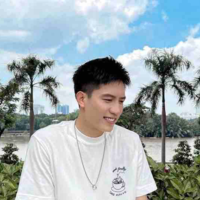 Nguyễn Anh Tú_Voi