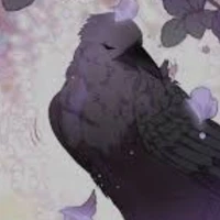 quạ của tamaka (suyi)