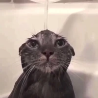nhynhy