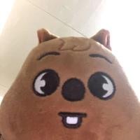 goquokkahjs14