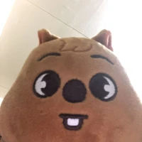 goquokkahjs14