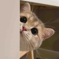 Kẻ khờ chờ tình iu 🫶🏻