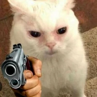 Nhân vật nam phụ