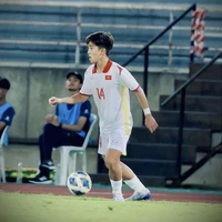 Lê Huỳnh Triệu