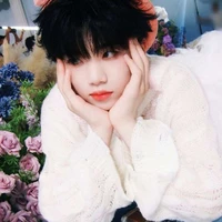 Trương Hàn Thụy