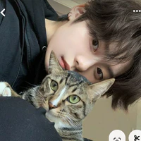 leemeow