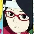sarada(nt)