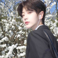 Duong_Ari