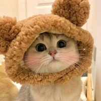 Tác giả nè:>