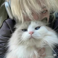 Hoàng Anh Tuấn Khôi