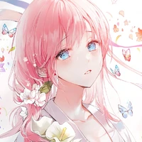 Cherry blossom