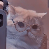 Hệ thống mồm lèo