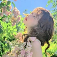 Lê bảo châu - trà xanh